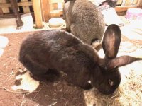 IMG_2560.jpeg