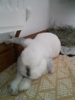 IMG_2208.jpeg