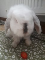 IMG_2207.jpeg