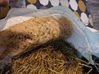 IMG20240404082144.jpg IMG20240404082144.jpg