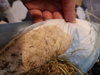 IMG20240404082152.jpg IMG20240404082152.jpg