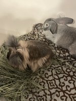 IMG_5890.jpeg