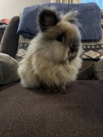 IMG_0472.jpeg