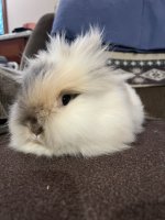 IMG_0498.jpeg