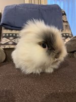 IMG_0481.jpeg