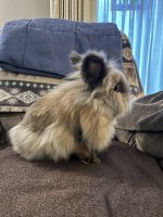 IMG_0454.jpeg