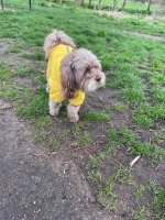 IMG_2710.jpeg
