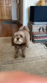 IMG_2709.jpeg