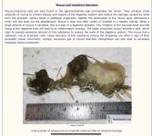 IMG_3120.jpeg