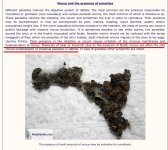 IMG_3129.jpeg