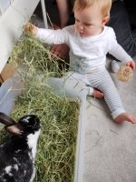 IMG_20240615_145343324.jpg IMG_20240615_145343324.jpg