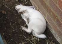 IMG_3188.jpeg
