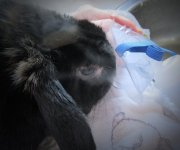 IMG_3208.jpeg