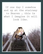IMG_3228.jpeg
