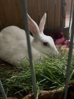 IMG_9373.jpeg