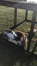 IMG_9945.jpeg