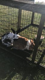 IMG_9942.jpeg