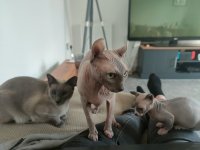 IMG20240820111503.jpg