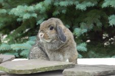 IMG_4187.jpeg