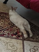 IMG20240720185654.jpg