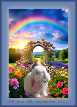 IMG_4285.png