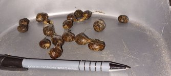 IMG-20240922-WA0000.jpg