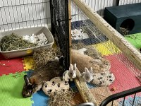 IMG_0320.jpeg