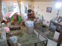 IMG_1488.jpeg