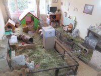 IMG_1064.jpeg