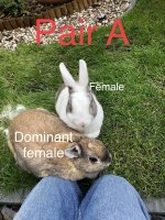 IMG_0193.jpeg