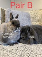 IMG_0628.jpeg