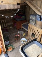 IMG_0619.jpeg