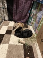 IMG_2551.jpeg