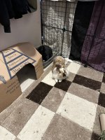 IMG_2548.jpeg