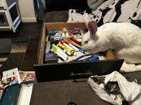 IMG_2507.jpeg