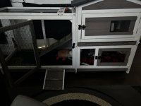 IMG_2519.jpeg