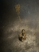 IMG_2522.jpeg