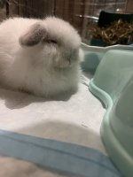 IMG_1283.jpeg