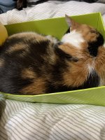 IMG_4280.jpeg