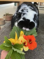 IMG_7593.jpeg