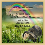IMG_5743.png