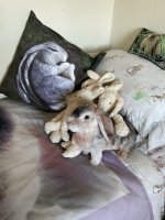 IMG_5750.jpeg