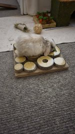 BUN10.jpg