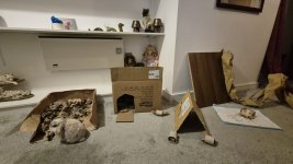 cardboard town.jpg
