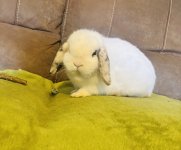 IMG_4809.jpeg