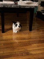 IMG_1028.jpeg