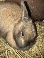 IMG_0068.jpeg