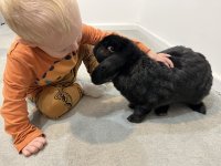 IMG_2117.JPG IMG_2117.JPG