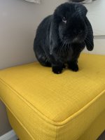 IMG_9728.JPG IMG_9728.JPG