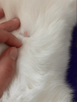 IMG_6182.png
